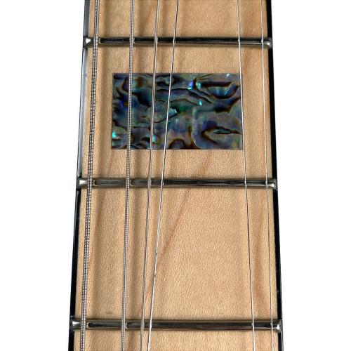 Psychederhythm (サイケデリズム) エレキギター PSYCHOMASTER