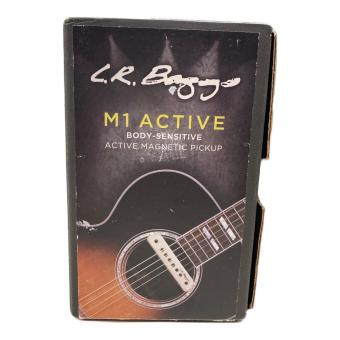 L.R.Baggs (エルアールバックス) ACTIVE MAGNETIC PICKUP M1 ACTIVE