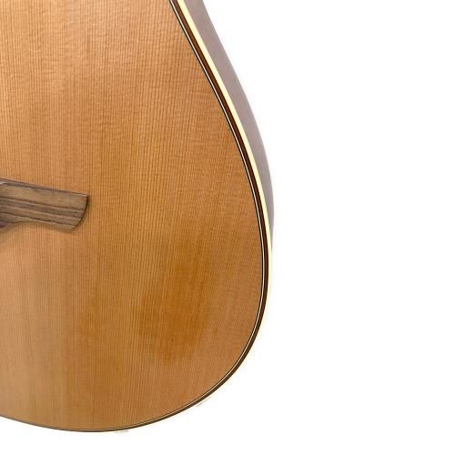 Takamine (タカミネ) 100series Thinline エレアコギター TSP148NC @