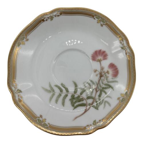 Noritake (ノリタケ) カップ&ソーサー ガラコンテッサ