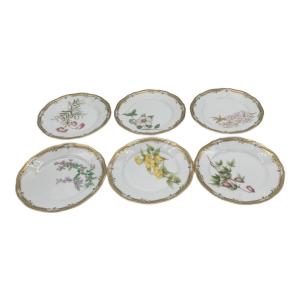Noritake (ノリタケ) プレート ガラコンテッサ