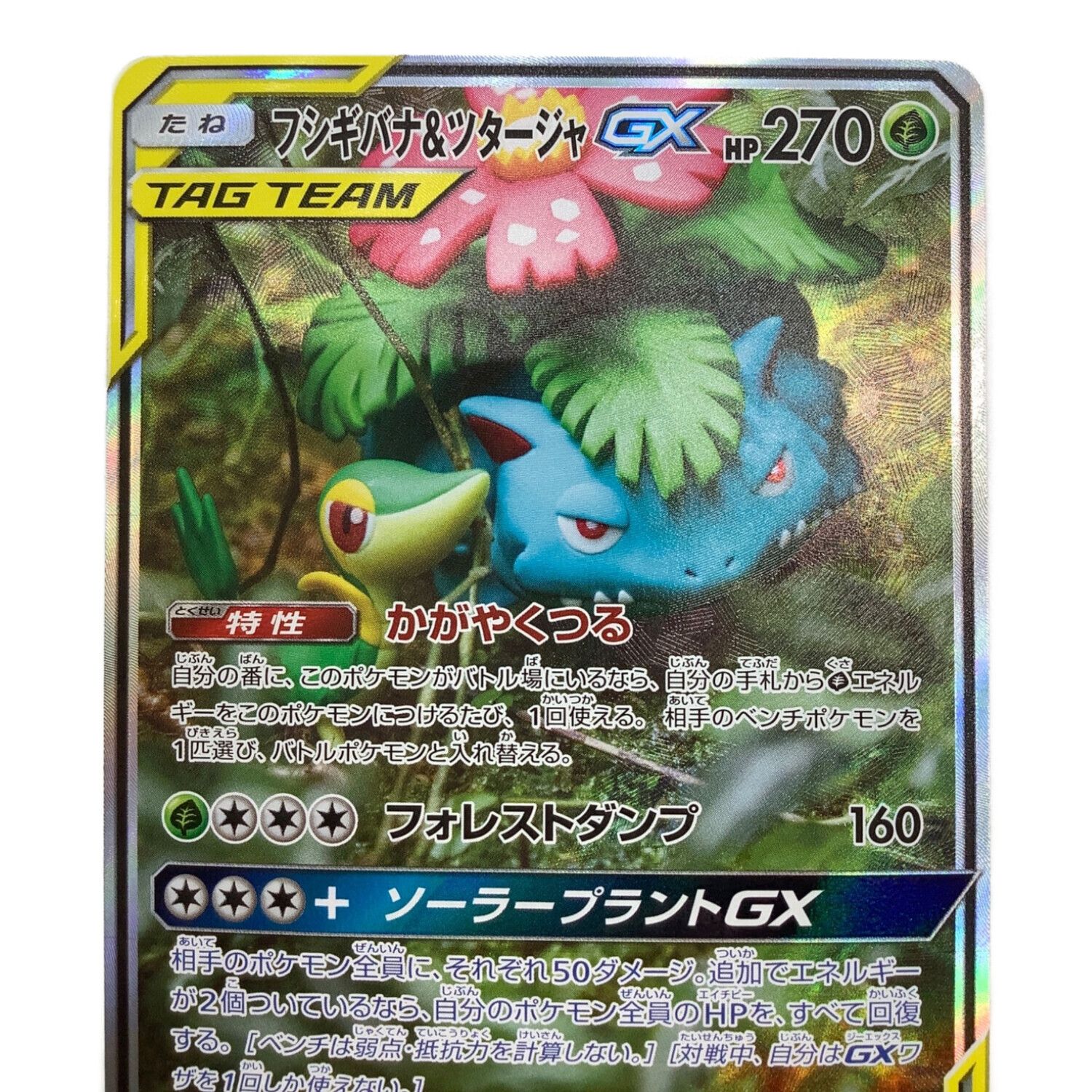 ポケモンカード フシギバナ&ツタージャGX 066/064 SR(SA)｜トレファク