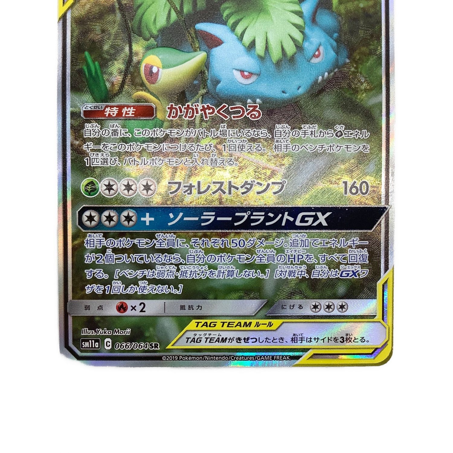 PSA10】フシギバナ＆ツタージャGX(SA) {066/064} ※超希少 - ポケモン