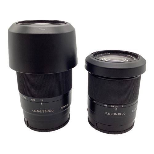 SONY (ソニー) デジタル一眼レフカメラ 2008年製 DSLR-A300 1080万画素 APS-C 23.6mm×15.8mm CCD 専用電池・チャージャー付き コンパクトフラッシュ対応 ISO100～3200 0152786