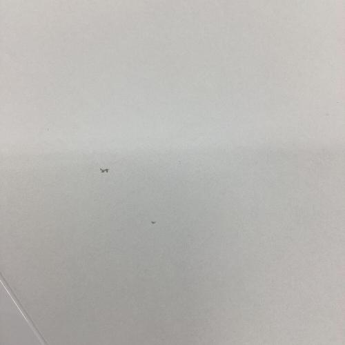 ニトリ ドラム式洗濯乾燥機 ND100KL1WH 2026年製