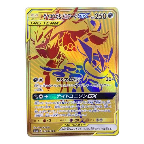 ゲッコウガ＆ゾロアークGX ポケモンカード 223/173 UR