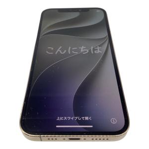 Apple (アップル) iPhone12 Pro NGM73J/A
