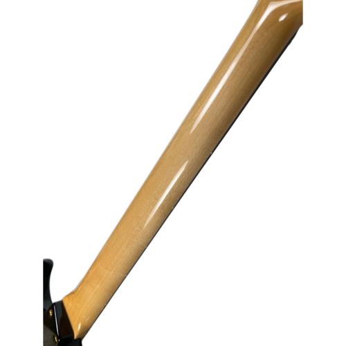 Moon (ムーン) 5弦フレットレスベース JJ-5 Custom Fletless BALTOLINI　日本製