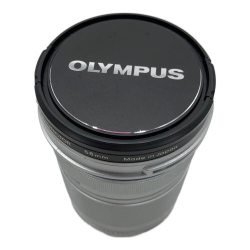 OLYMPUS (オリンパス) コンパクトデジタルカメラ E-PL8