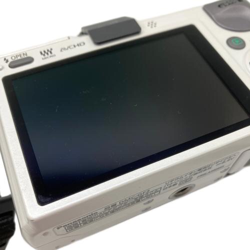 Panasonic (パナソニック) ミラーレス一眼カメラ DMC-GF2