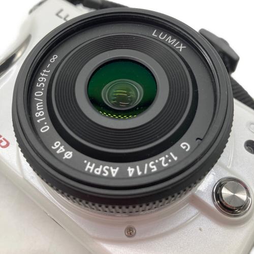 Panasonic (パナソニック) ミラーレス一眼カメラ DMC-GF2