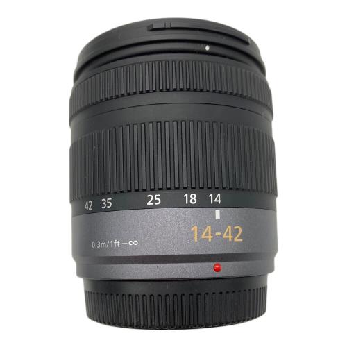 Panasonic (パナソニック) ミラーレス一眼カメラ DMC-GF2