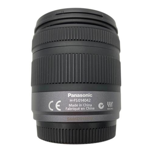 Panasonic (パナソニック) ミラーレス一眼カメラ DMC-GF2