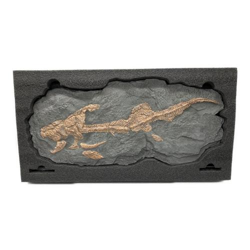 STAR ACE 化石レプリカ ワンダーズ オブ ザ ワイルド ダンクルオステウス