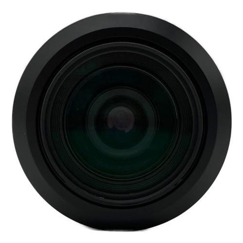 SONY (ソニー) デジタル一眼レフカメラ α SLT-A55V 充電器欠品の為動作未確認