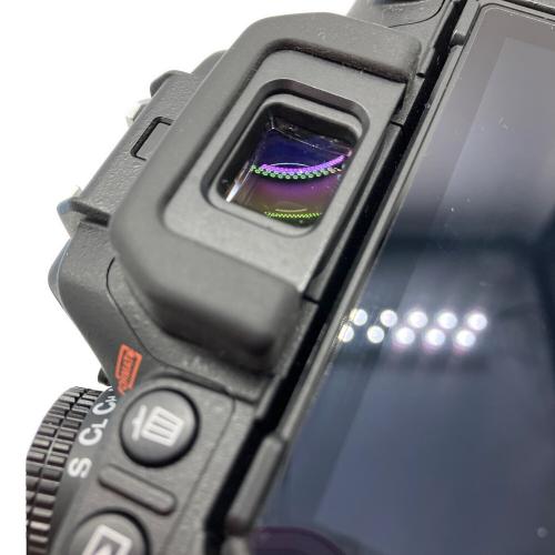 Nikon (ニコン) デジタル一眼レフカメラ D7500