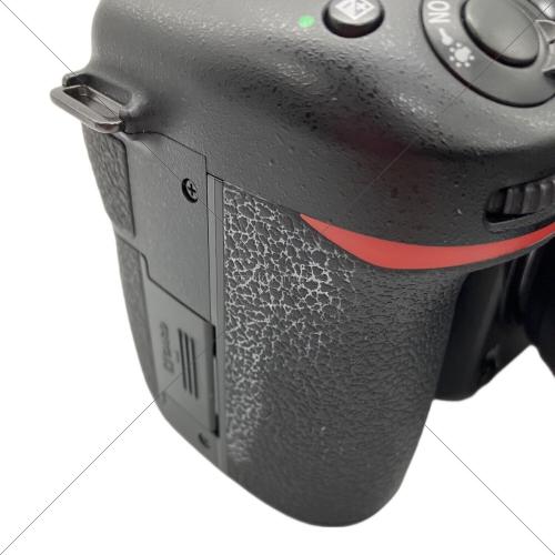Nikon (ニコン) デジタル一眼レフカメラ D7500