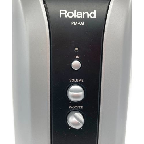 ROLAND (ローランド) パーソナルドラムモニター 2.1ch PM-03