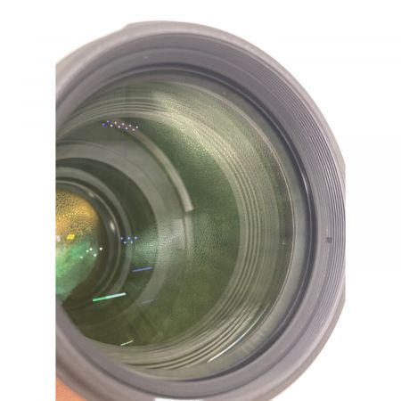 Nikon (ニコン) ズームレンズ FL ED VR NIKKOR LENS 70-200mm f/2.8E 246486