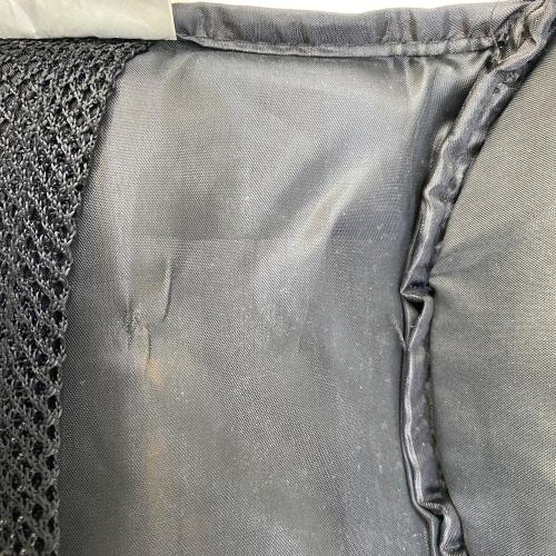 Coleman (コールマン) ガスランタン 4010003747 NORTHSTAR