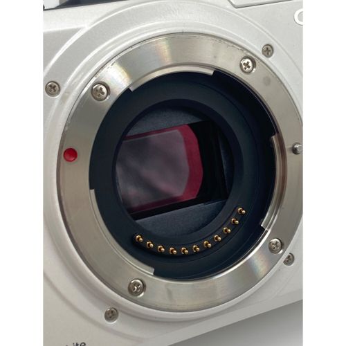 Panasonic (パナソニック) コンパクトデジタルカメラ レンズセット DMC-GF1