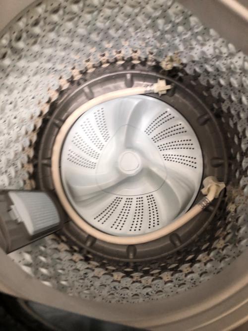 ニトリ 全自動洗濯機 6.0kg NT60L1BK 2024年製 クリーニング済 50Hz／60Hz