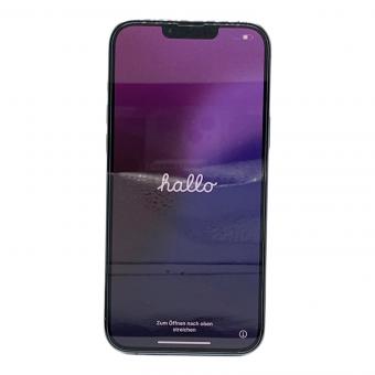 Apple iPhone13 Pro Max