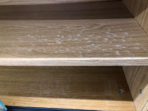 ステンレスユニットナチュラル×シルバー ガラス2枚扉付 ハイタイプ