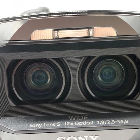 SONY (ソニー) 3Dハンディカム&専用ガンマイクセット 265万画素 HDR