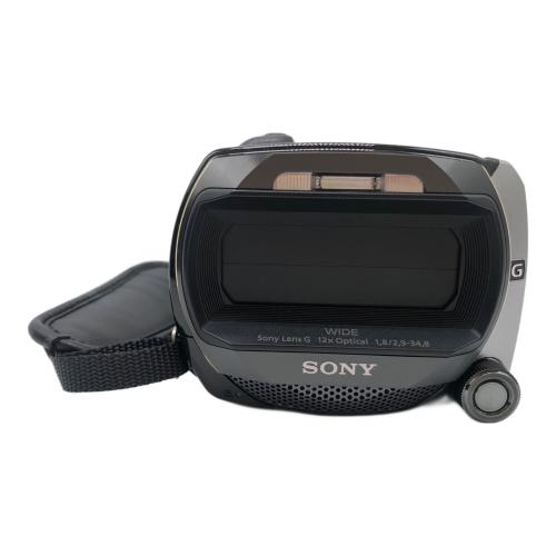SONY (ソニー) 3Dハンディカム&専用ガンマイクセット 265万画素 HDR-TD10&ECM-HGZ1 13683