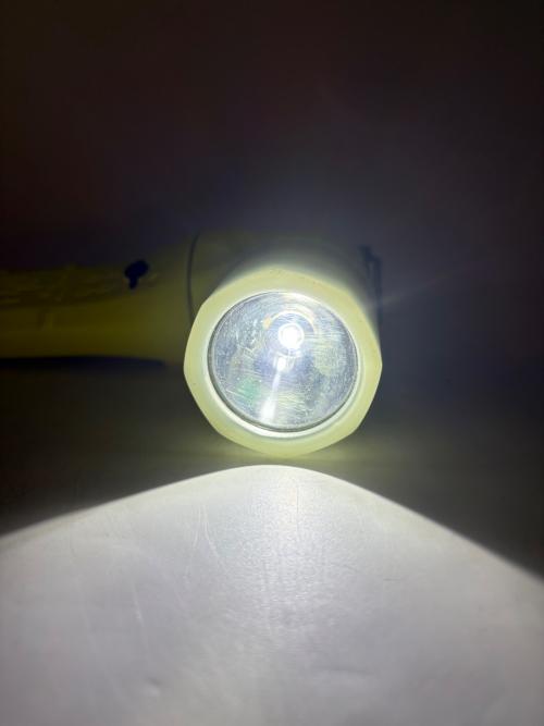 PELICAN (ペリカン) 懐中電灯 3610 Little ED LED
