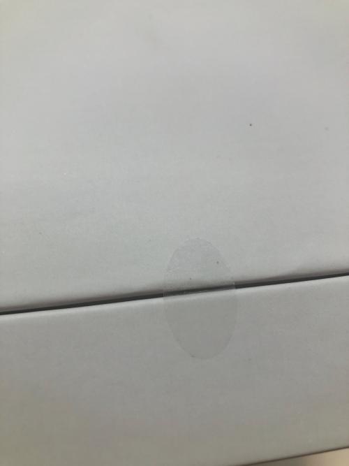 SALONIA (サロニア) ピュアブライトスチーマー SAL22207SL