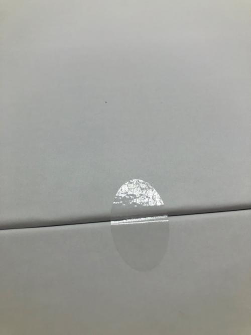 SALONIA (サロニア) ピュアブライトスチーマー SAL22207SL