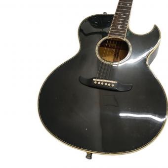 FENDER JAPAN (フェンダージャパン) エレアコギター EL RIO 動作確認済み