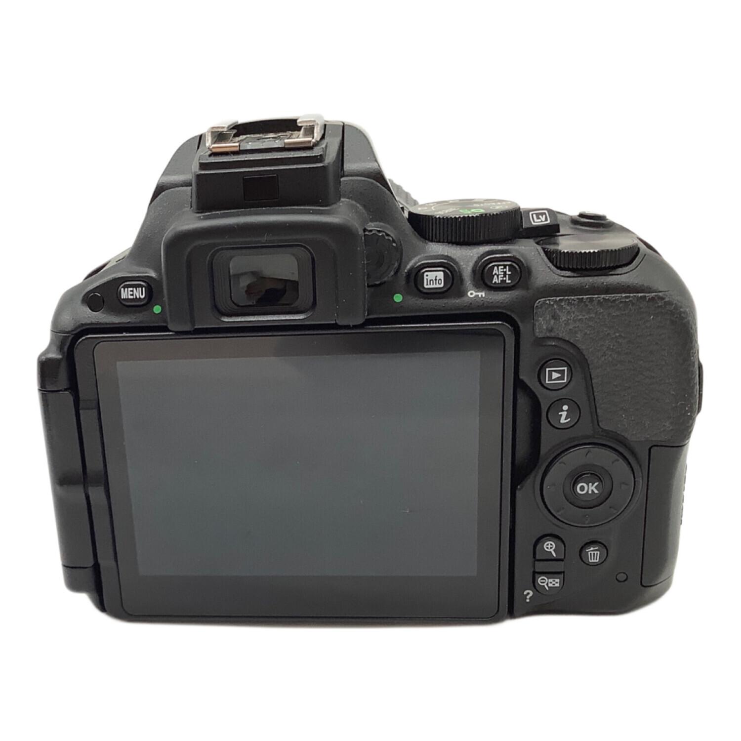 Nikon デジタル一眼レフカメラ レンズ：55-300mm 1:4.5-5.6 GED,18