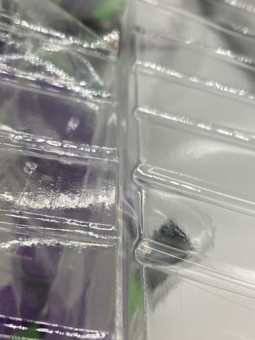 エヴァンゲリオン初号機