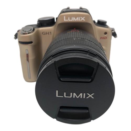 Panasonic (パナソニック) ミラーレス一眼カメラ レンズキット DMC-GH1 1398万画素(総画素) フォーサーズ 4/3型 LiveMOS 専用電池 SDHCカード対応 標準：ISO100～3200 FS9FC002768
