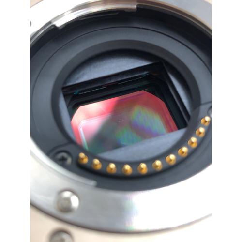 Panasonic (パナソニック) ミラーレス一眼カメラ レンズキット DMC-GH1