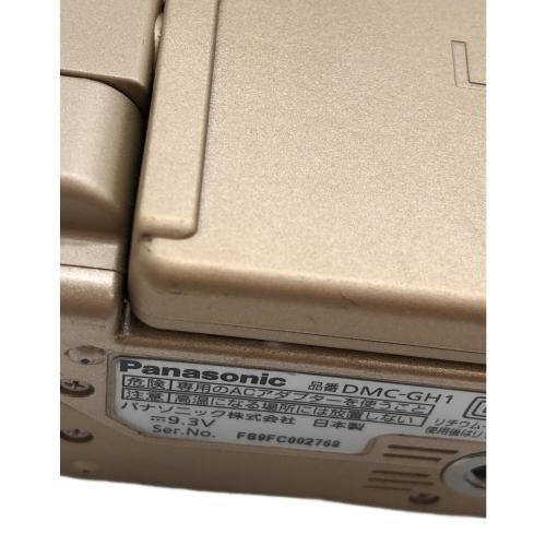 Panasonic (パナソニック) ミラーレス一眼カメラ レンズキット DMC-GH1 1398万画素(総画素) フォーサーズ 4/3型 LiveMOS 専用電池 SDHCカード対応 標準：ISO100～3200 FS9FC002768