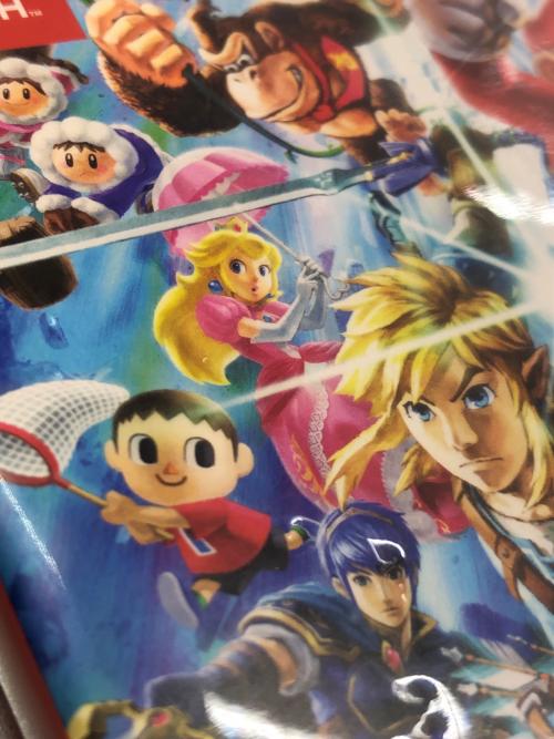 Nintendo (ニンテンドー) Nintendo Switch用ソフト 大乱闘スマッシュブラザーズ SPECIAL CERO A (全年齢対象)
