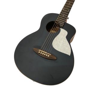 aNueNue (アヌエヌエ) Travel Series アコースティックギター aNN-M88ITE