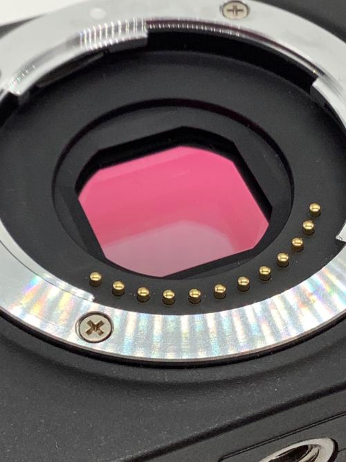 Nikon (ニコン) ミラーレス一眼カメラ S1