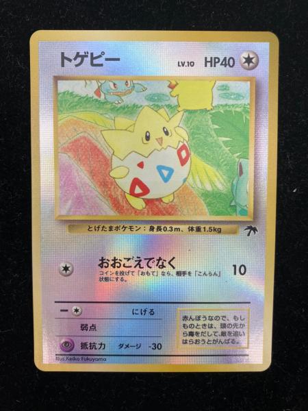 サザンアイランド レインボーアイランド川辺(トゲピー・フシギソウ