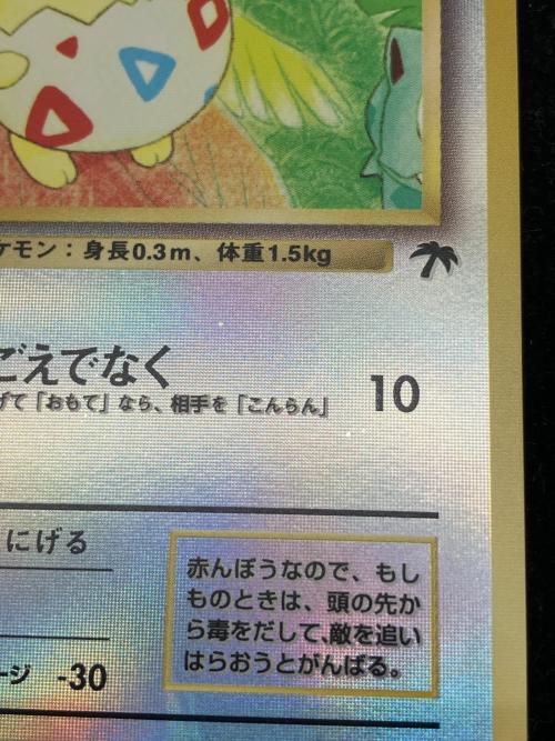 サザンアイランド レインボーアイランド川辺(トゲピー・フシギソウ・ラッタ) ポケモンカード