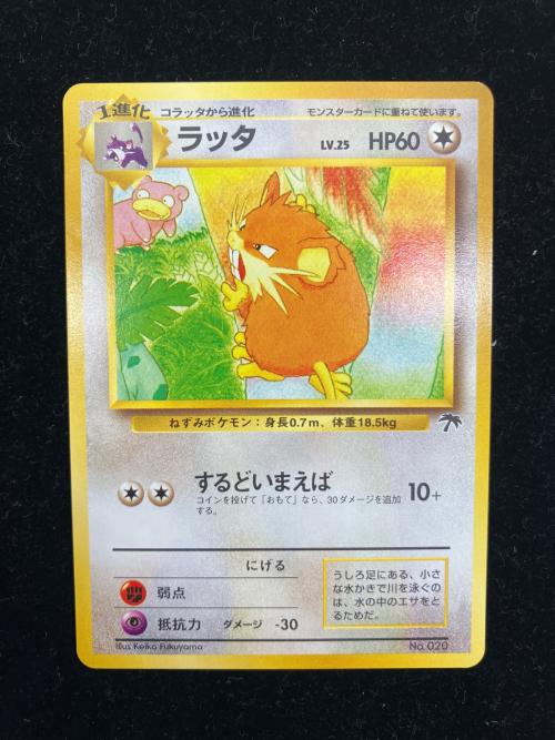 サザンアイランド レインボーアイランド川辺(トゲピー・フシギソウ・ラッタ) ポケモンカード