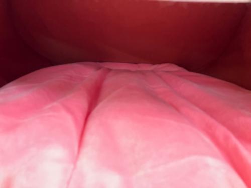 BANDAI (バンダイ) 絶対舐められたいゲンガー ヌイグルミ @