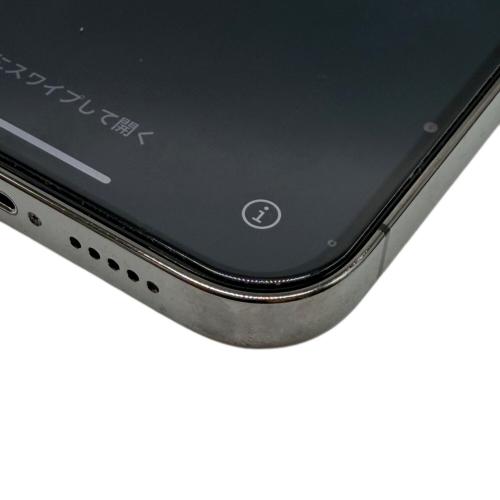 Apple (アップル) iPhone12 Pro MGM53J/A
