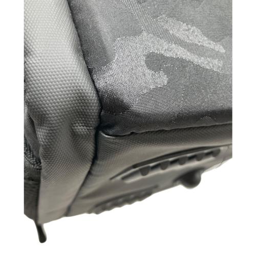 aosta (アオスタ) カメラリュック RK260 ブラック SancturaryⅣ