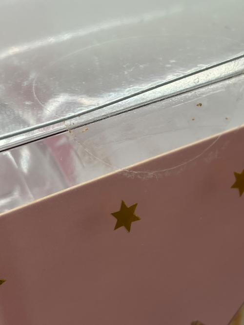 WINGS inc 木之本桜 ロケットビートVer. PVC&ABS製塗装済み完成品フィギュア 1/7スケール