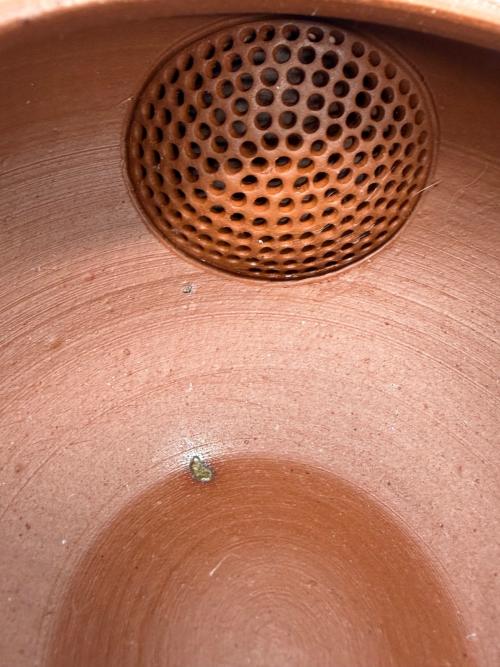 常滑焼 (トコナメヤキ) 急須　二代　間野舜園